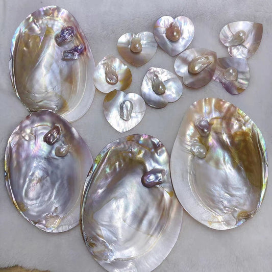 Polished Freshwater Mussel Shell Plate - Pearl Unique